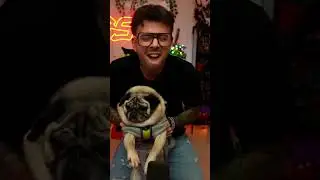 #gabbodsq su #Twitch | DOGGO DANCE