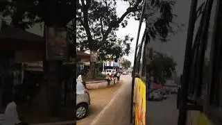 Village Bus Journey | Peaceful Ride Through Nature 🌾🚌