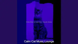 Chilled Music for Lonely Cats