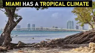 MIAMI has a TROPICAL CLIMATE