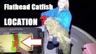 Giant FLATHEAD Catfish LOCATION -  HOW TO locate and catch Flathead Catfish (SECRETS Revealed)