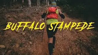 Буффало Стэмпид 2018