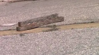Old Lumber Mill Could Bring New Jobs