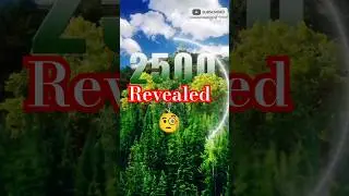 Rajasthan Forest Cutting: The Devastating Reality 🌳😱 #trending #jaipur