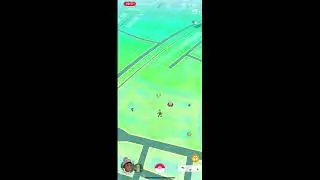 Unova Week Shiny Hunting.