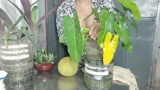 Hari Ini TIDAK Ya Memasak Makanan Datang Mempersiapkan Rumah