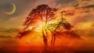 Sam Harris l A Scientific Morality l Nature of Human Values