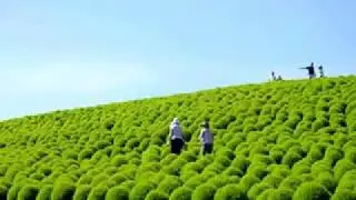 Amazing Tourist place in JAPAN - Agigura Beach,Hitachi Park