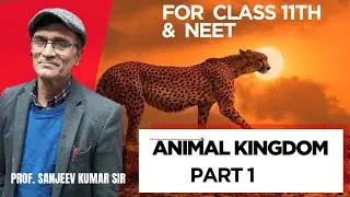 Animal kingdom   | Class 11th | Omega Pro Classes |Prof Sanjeev Kumar Sir