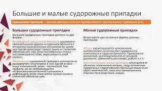 Эпилепсия  Эпистатус
