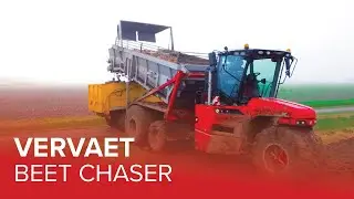 Beet Harvest with Vervaet Beet Chaser and Q-Series into the Night | Loonbedrijf Van den Dries