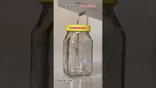 Charging by induction|| a demonstration with electroscope #shortsfeed #ex #class12physics #ed