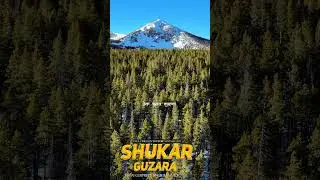 Shukar Guzara ॥ ਸ਼ੁਕਰ ਗੁਜ਼ਾਰਾ ॥ Bhai Gurpreet Singh Chandigarh ॥ 97800 92007