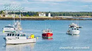 SCHOODIC NATIONAL SCENIC BYWAY (NOV. 2021)