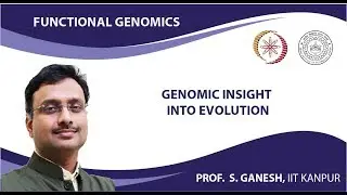 Genomic Insight into Evolution