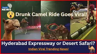 Drunk Man Rides Camel in Hyderabad PVNR Expressway viral! | Flashfiy News