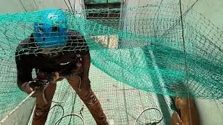 High-Rise Rescue: Saving a Dog from a Perilous Perch on the 4th Floor - AWCS tactical rescue.