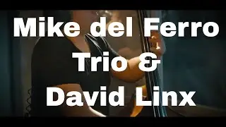 Mike del Ferro Trio & David Linx | Lifetimes such as These | Album: 