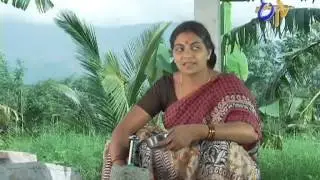 Manasu Mamata - 20th August 2013 Episode No 800