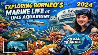Exploring Borneo's Stunning Marine Life at UMS Aquarium