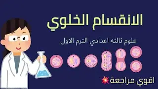 🔬 الانقسام الخلوي الجزء الأول | شرح سهل ومختصر لفهم مراحل الانقسام خطوة بخطوة