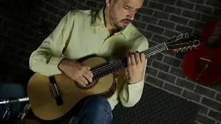 Lamento sertanejo - Dominguinhos / Gilberto Gil - viola brasileira