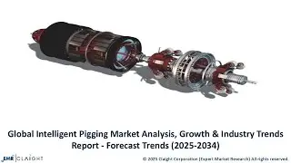 Intelligent Pigging Market Size, Share and Forecast 2025-2034