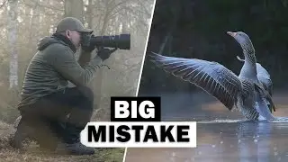Next Level Wildlife Photography Techniques