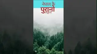 Raniban: The Untouched Forest Near Pokhara | Hidden Natural Treasure of Nepal! 🌿✨ #Shorts #viral