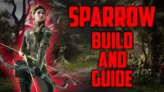 Paragon Sparrow Build & Guide - SEXY DESTRUCTION