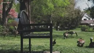Nature moment: Brown Park