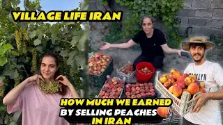 Shocking Peach Harvest in Iranian Village 🍑 || Fruit Picking & Selling in Market || Pak-Iranian Vlog