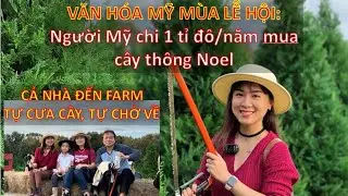 Cùng Ly đi farm cắt cây Noel về nhà bày. Bất ngờ người Mỹ chi tới 1 tỉ đô/năm mua cây Giáng Sinh!