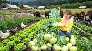 Sold Out in an Hour! Harvest Rare Kohlrabi & Cooking Nourishing Winter Dishes