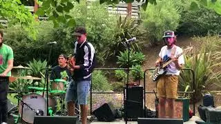 Splavender &mdash; Honeysuckle (Live)