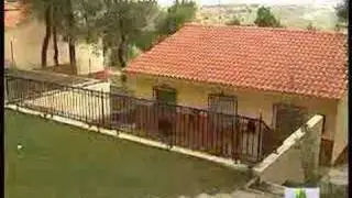 Promoción Dehesa Montevegas