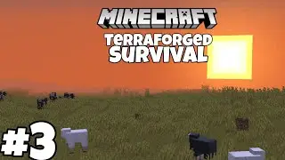 Terraforged survival Minecraft 1.15.2 - Folge 3