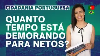 Quanto Tempo Está Demorando A Cidadania Portuguesa Para Netos?