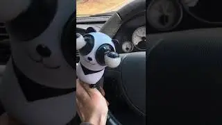 Panda Boost Gauge