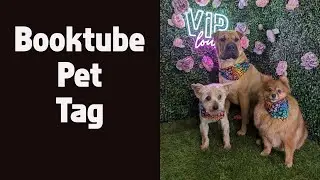 Booktube Pet Tag - #tagtuesday