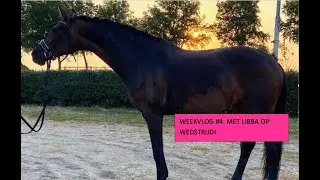 Weekvlog #4: Met Libba op wedstrijd!