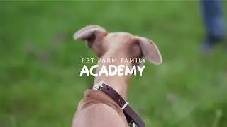 PFF Academy: 01 Budovanie vzťahov &rarr; Privolanie