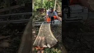 The Perfect Black Walnut Coffee Table Slabs!