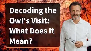 Decoding the Owl's Visit: What Does It Mean?