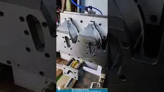 Automatic Laundry Bottle Blow Molder | IML + Auto-Trimming | P&G Standard Customization