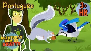 Blue Jays ou Grey Squirrels? [episódios completos] Aventuras com os Kratts