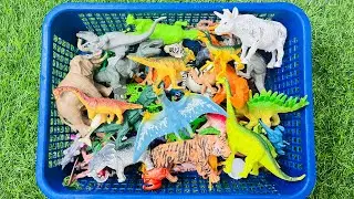 T-rex stegosaur triceratop zebra cow giraffe sheep bear lion tiger elephant velociraptor ASMR Viral