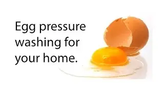 How to remove eggs from a home