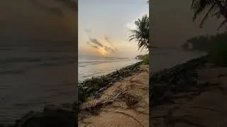 Beach vibe | Ezhara Beach | Kannur           #evning #sunset #beautiful 🤍🌄