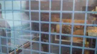 CHARPENTE MACHINE DE TAILLE SC2I .wmv